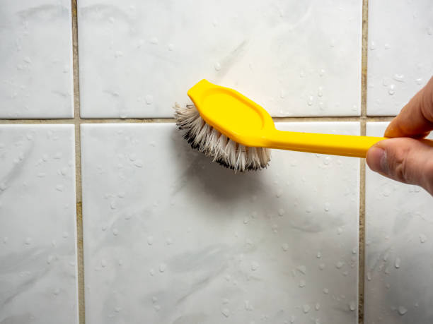 Best Residential Mold Removal  in Theresa, WI