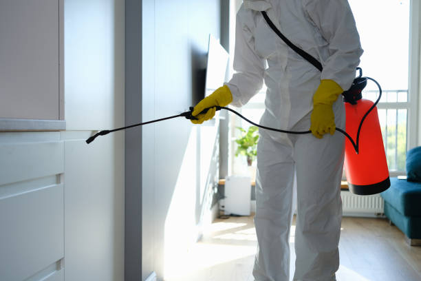 Best Mold Remediation  in Theresa, WI