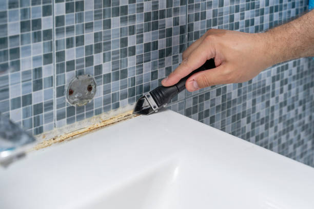 Best Fast Mold Removal  in Theresa, WI