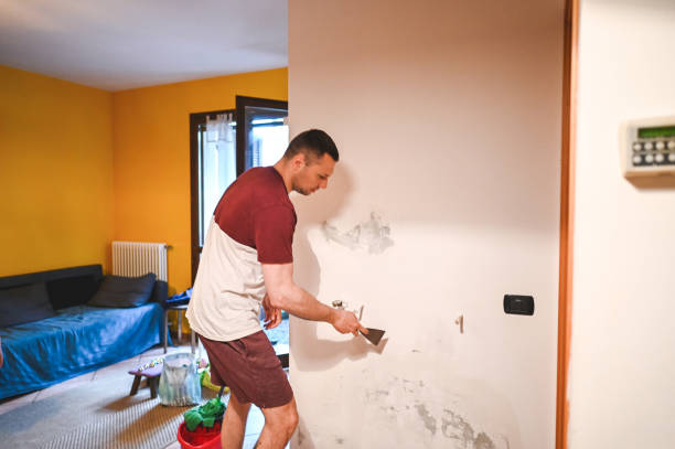 Best Best Mold Removal Companies  in Theresa, WI